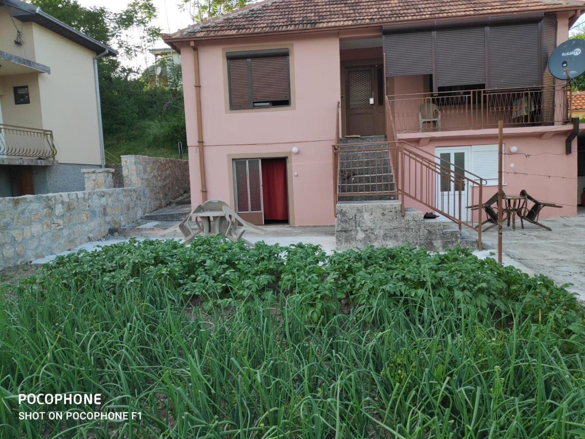 Apartman Pavle 2 威尔帕扎 外观 照片